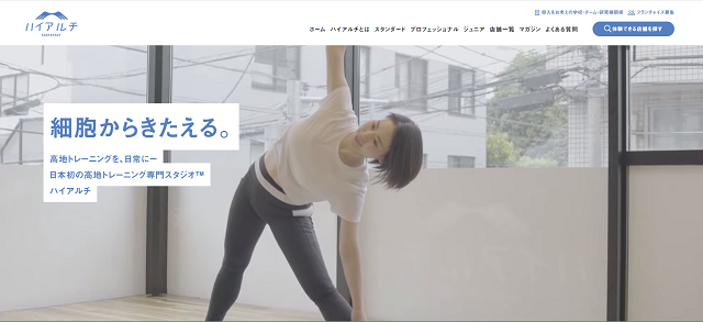 ハイアルチ